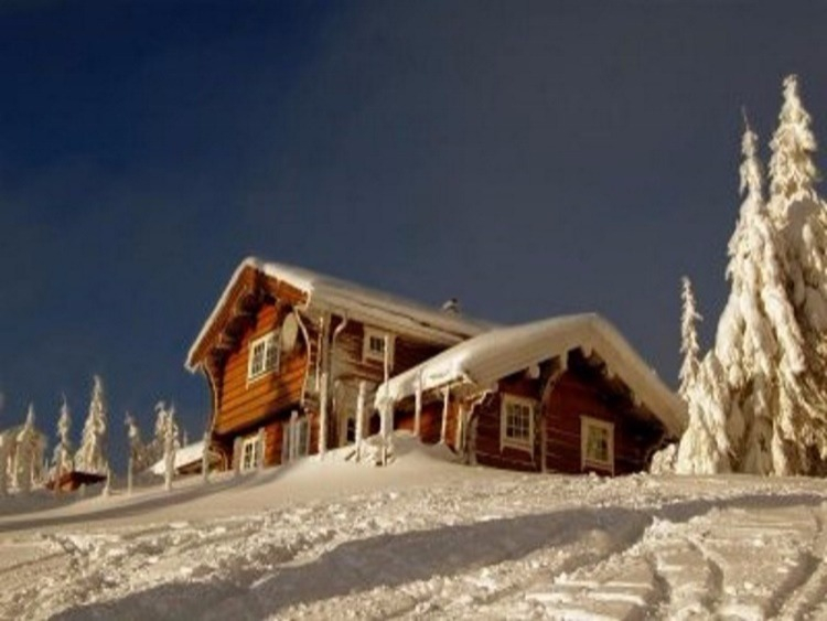 Typische Noorse Hytte