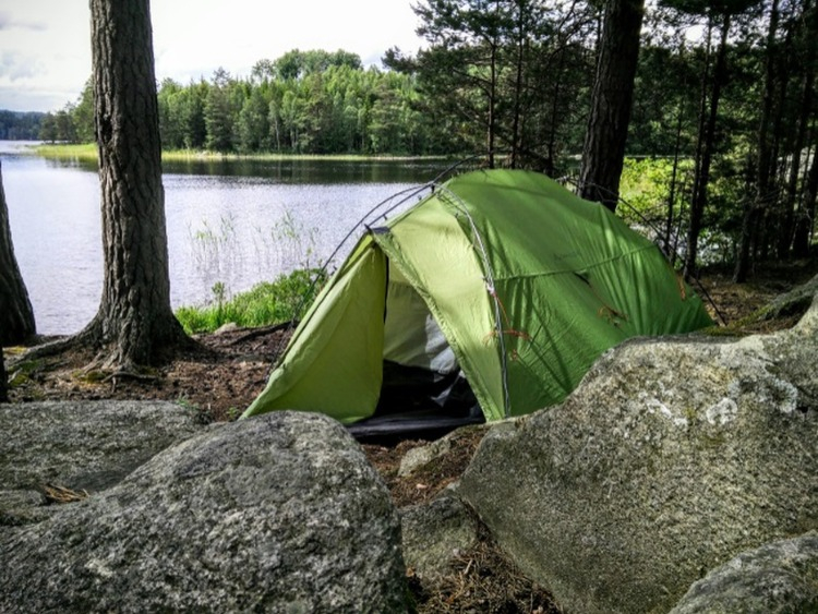 Wildkamperen Friesland foto 3