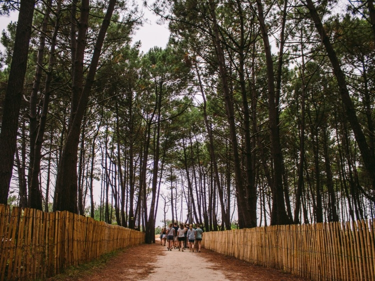Camping Le Vivier foto 3