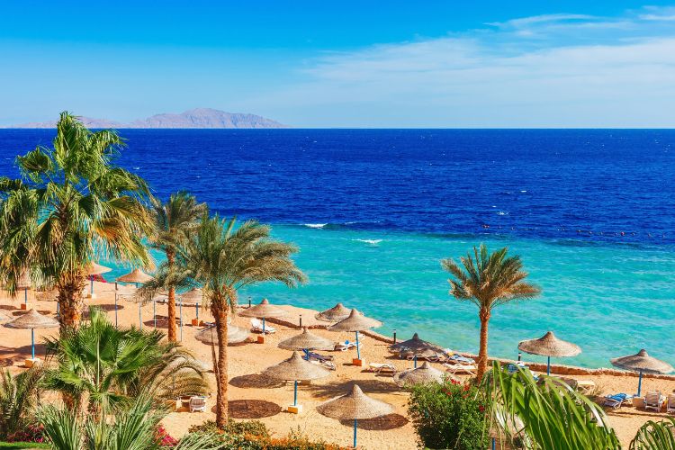 Winterzon singlereizen naar Egypte, Kaapverdië, Gambia en ABC Eilanden