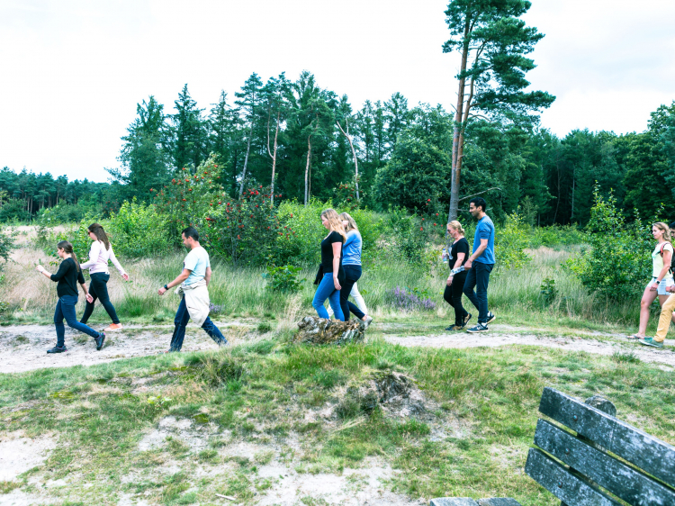 Singlereis Weekendjeweg XL (HBO-WO) In het Vechtdal