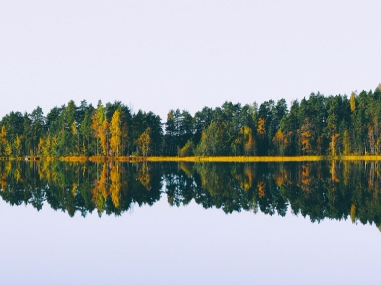 Singlereis Rondreis door Finland