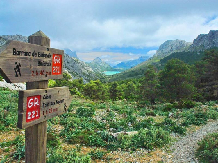 Singlereis Hike óf Bike (HBO-WO) op het zonnige Mallorca