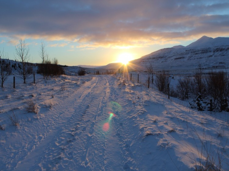 Groepsreis Actieve Winterreis IJsland