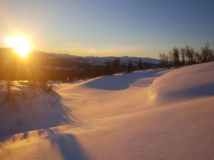 Groepsreis Wintersport Lapland in winters Scandinavië