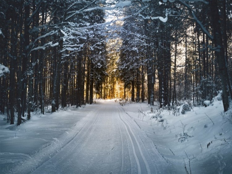 Groepsreis Wintersport Lapland in winters Scandinavië