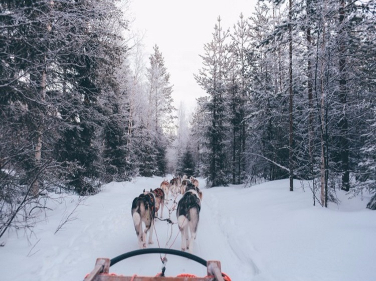 Groepsreis Wintersport Lapland in winters Scandinavië