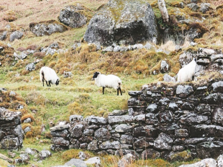 Groepsreis Actieve rondreis Noord-Ierland