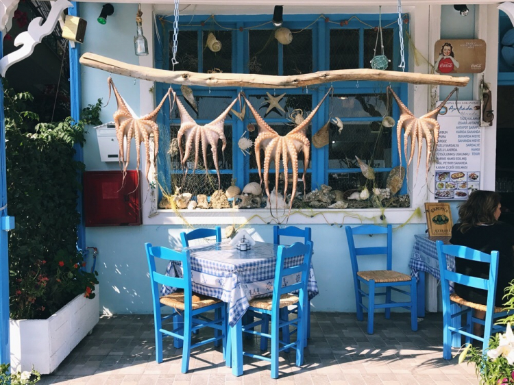 Singlereis Zon, Zee en Strand op Lesbos