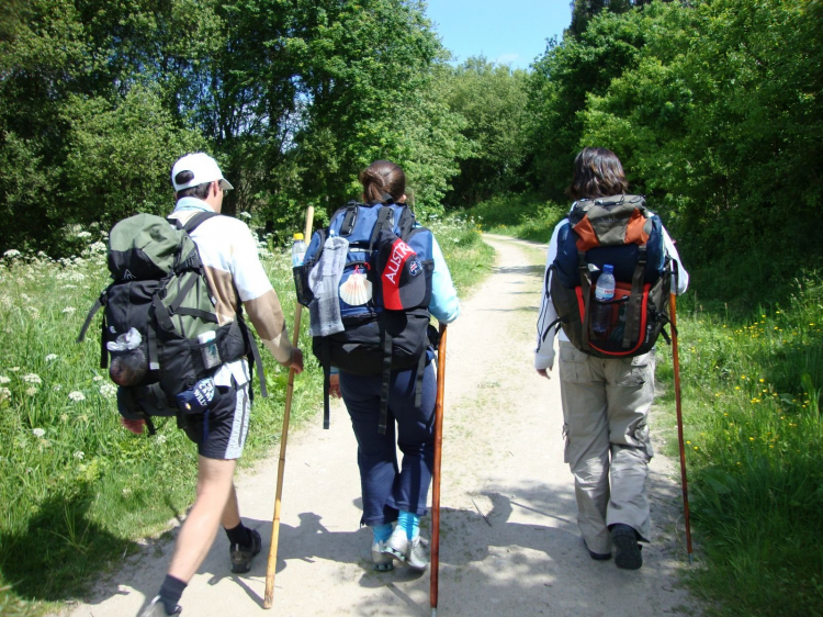 Singlereis Wandelen naar Santiago de Compostela
