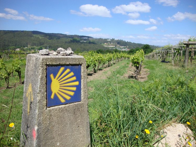 Singlereis Wandelen naar Santiago de Compostela