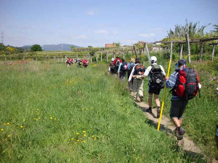 Singlereis Wandelen naar Santiago de Compostela