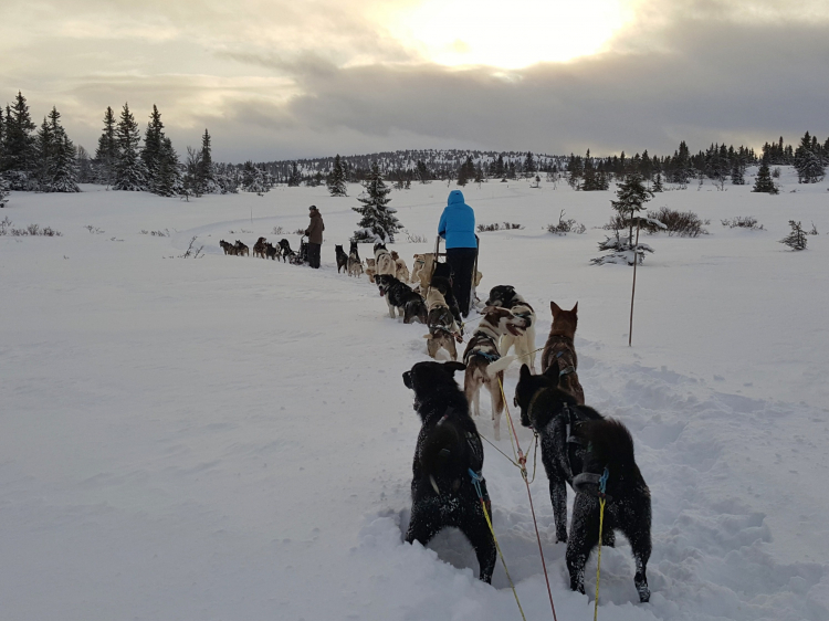 Groepsreis Actieve Winterreis Verrassend Noorwegen