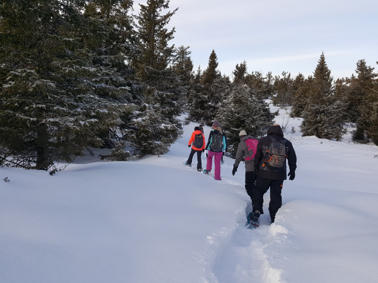 Groepsreis Actieve Winterreis Verrassend Noorwegen