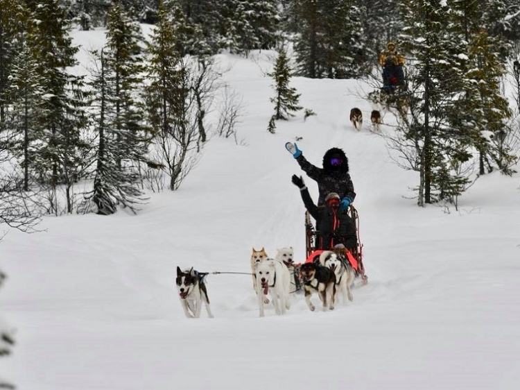 Singlereis Winters Avontuur in Zweeds Lapland