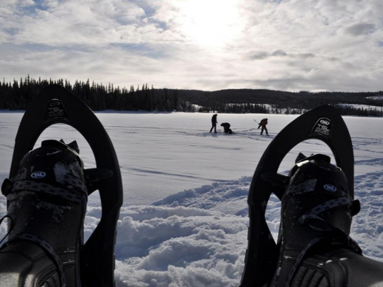 Singlereis Winters Avontuur in Zweeds Lapland