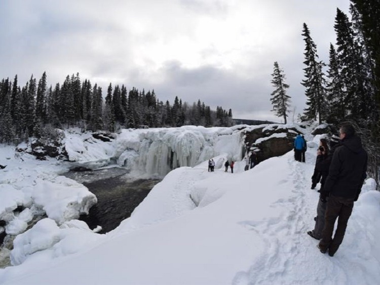 Singlereis Winters Avontuur in Zweeds Lapland