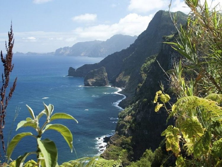 Singlereis Paradijselijk Genieten op Madeira