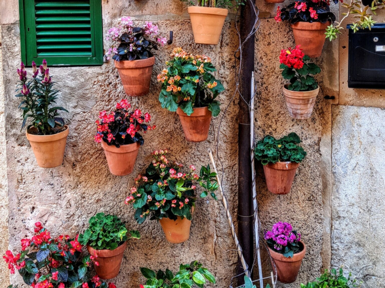 Singlereis Wandelen op Mallorca