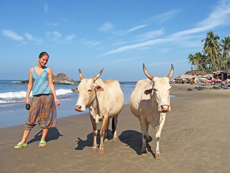 Singlereis Zuid-India 23-daagse rondreis