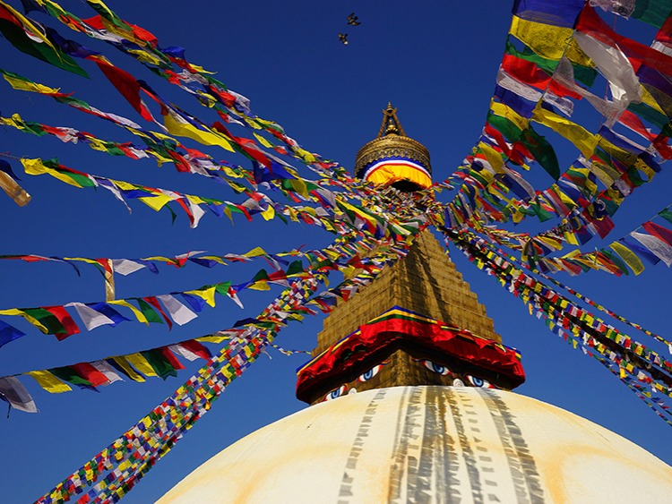 Singlereis Nepal 16-daagse rondreis