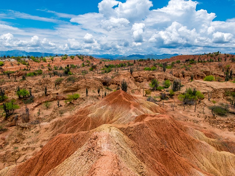 Singlereis Colombia Dynamisch en gastvrij