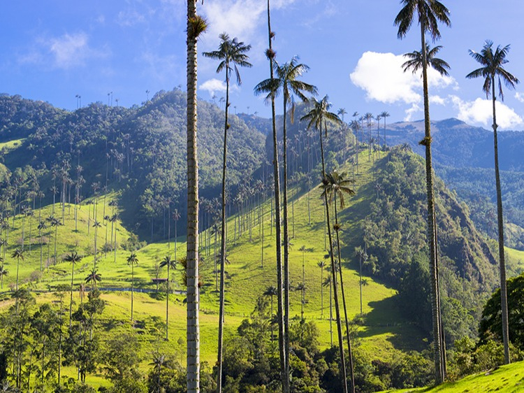 Singlereis Colombia Dynamisch en gastvrij