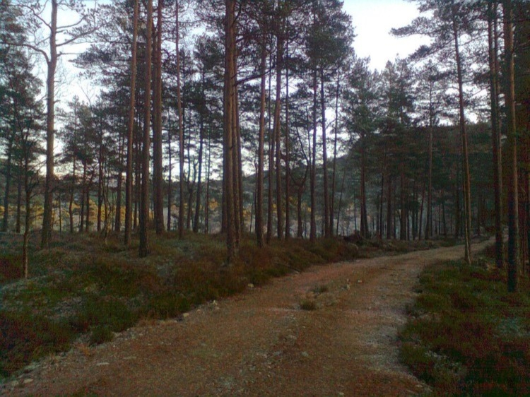 Groepsreis Actieve vakantie Noorwegen