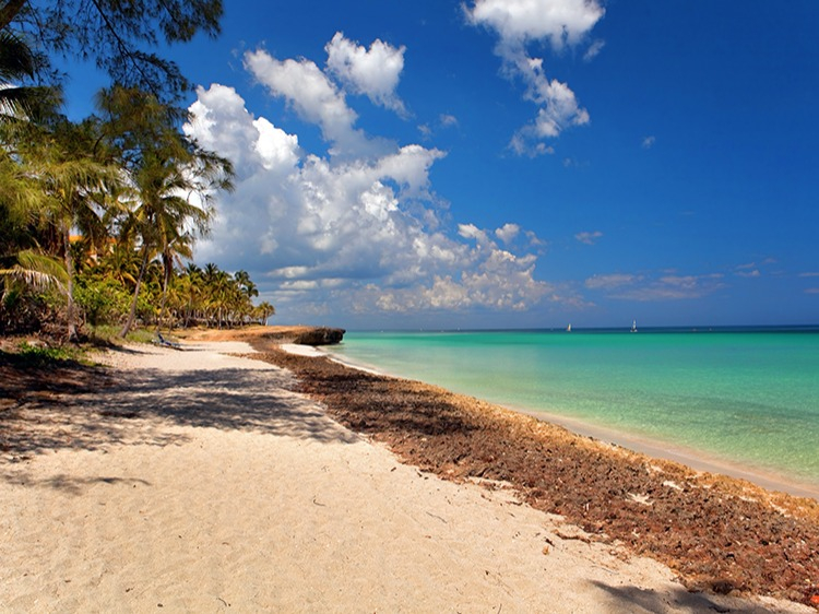 Singlereis Cuba Cultuur & Strand