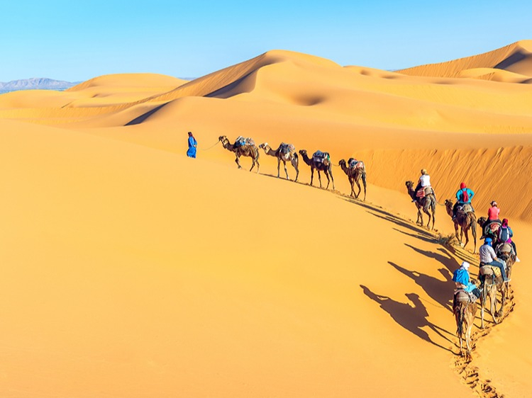 Singlereis Marokko Casablanca-Marrakech