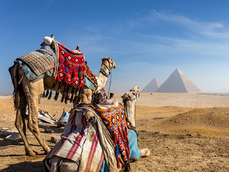 Singlereis Egypte Cultuur & Strand