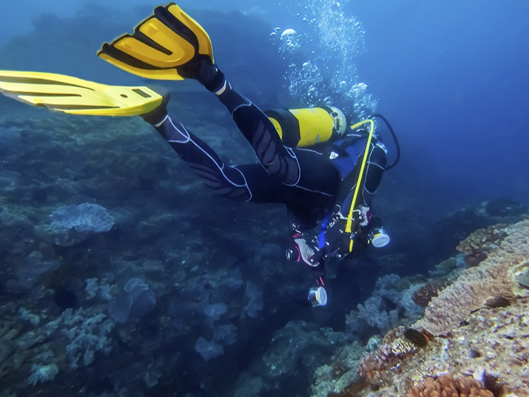 Singlereis Egypte Cultuur & Strand