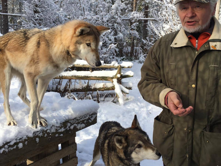 Groepsreis Actieve Winterreis in Fins Lapland
