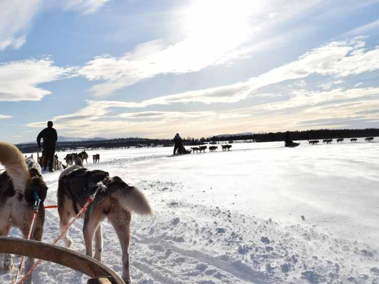 Groepsreis Actieve Winterreis in Fins Lapland
