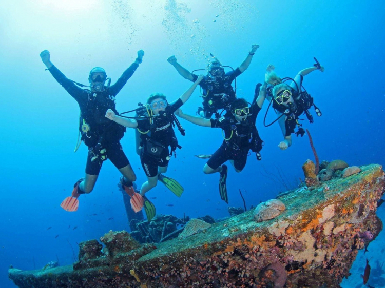 Singlereis Winterzon Bonaire