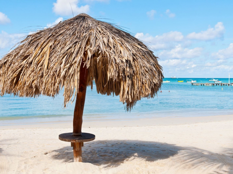 Singlereis Winterzon Bonaire