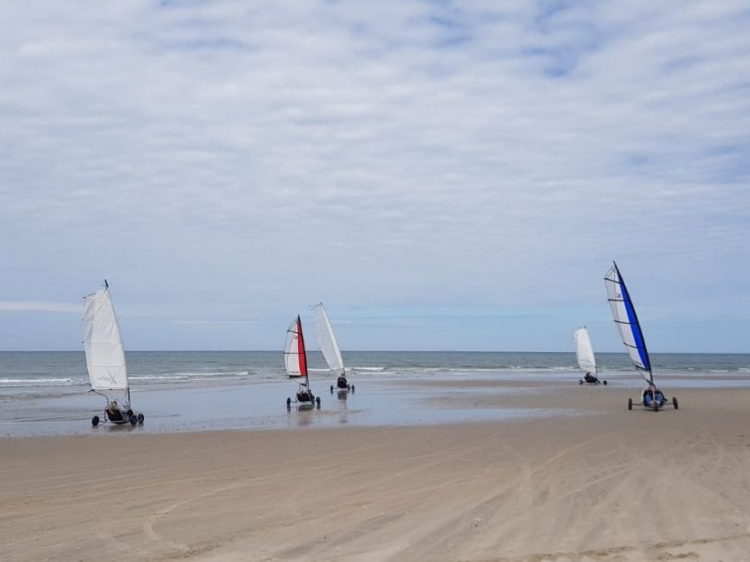 Groepsreis Actieve vakantie Uitwaaien op Texel