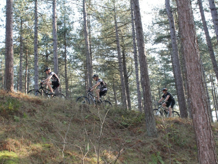 Groepsreis Actieve vakantie Uitwaaien op Texel