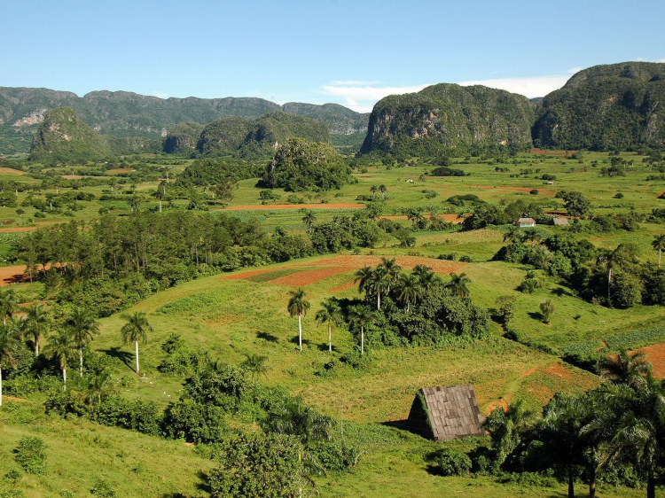 Singlereis Rondreis Kleurrijk Cuba