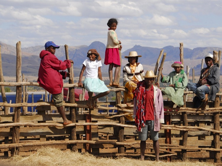 Singlereis Madagaskar 17-daagse rondreis