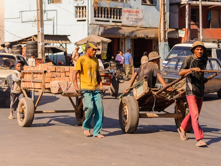 Singlereis Madagaskar 17-daagse rondreis