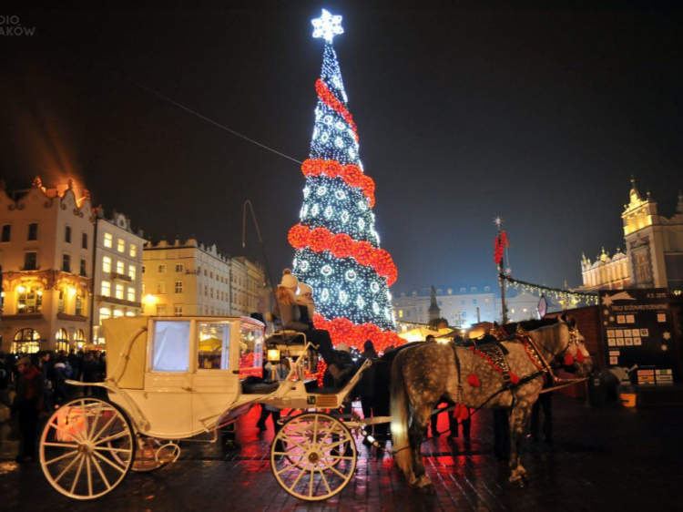 Singlereis Vier de feestdagen in Krakau 