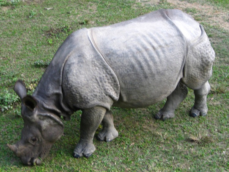 Singlereis Nepal Avontuurlijk