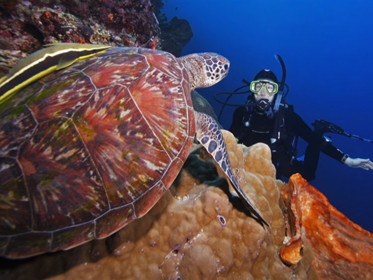 Singlereis Indonesië 15-daagse rondreis Indonesië: Bali, Lombok & De Gili Eilanden