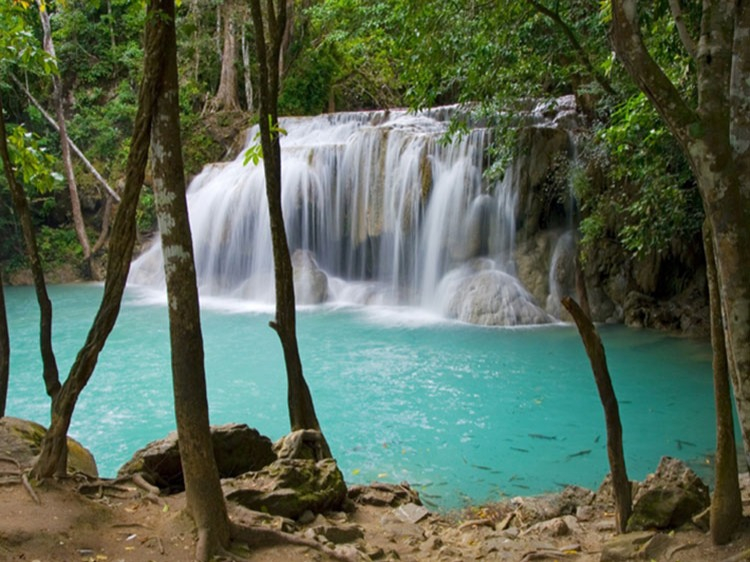 Singlereis Thailand 22-daags avontuur