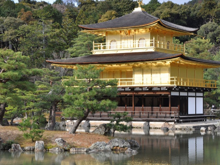 Singlereis Japan 15-daagse rondreis