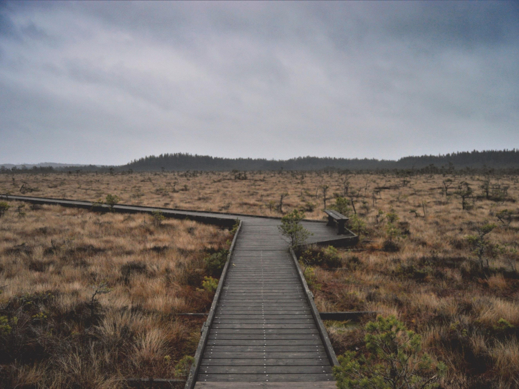 Groepsreis Wandelvakantie in Zweden