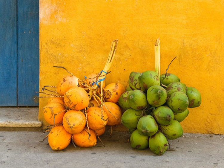 Singlereis Costa Rica & Nicaragua  22-daagse rondreis