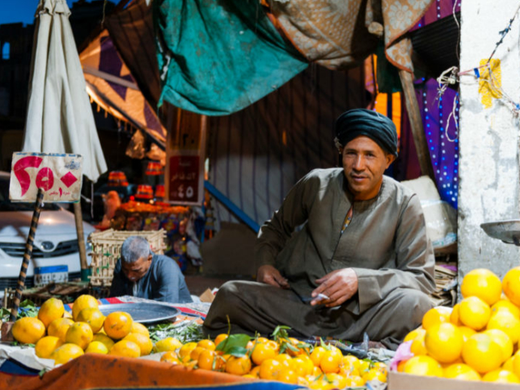 Singlereis Egypte 15-daagse rondreis