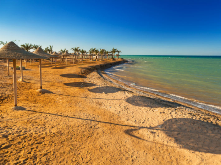 Singlereis Egypte 15-daagse rondreis